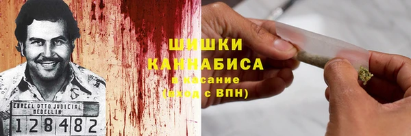индика Лихославль