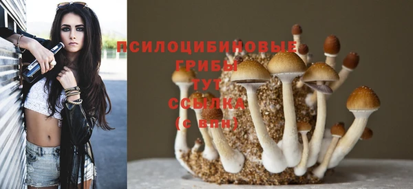 стаф Липки