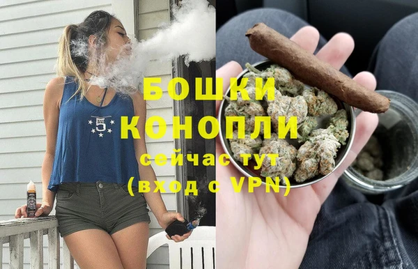 стаф Липки