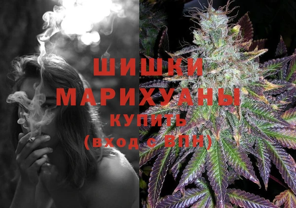 стаф Липки