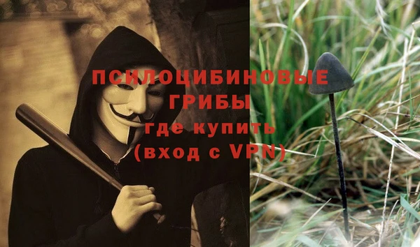 индика Лихославль