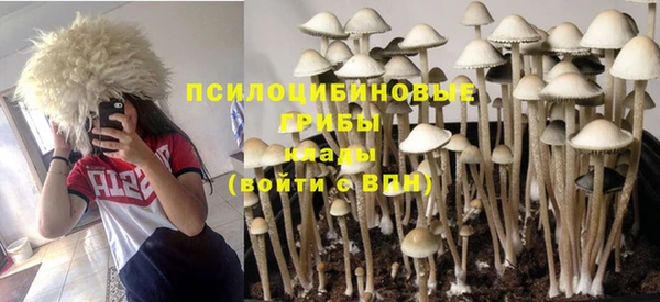 mdpv Лиски