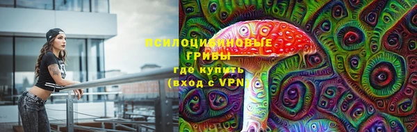 индика Лихославль
