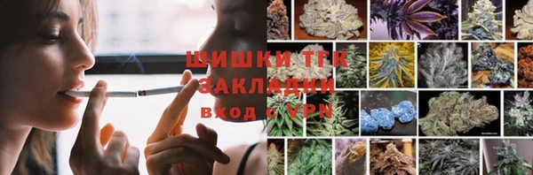 индика Лихославль