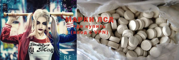 стаф Липки
