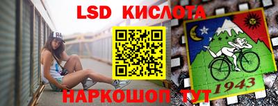 spice Заволжье