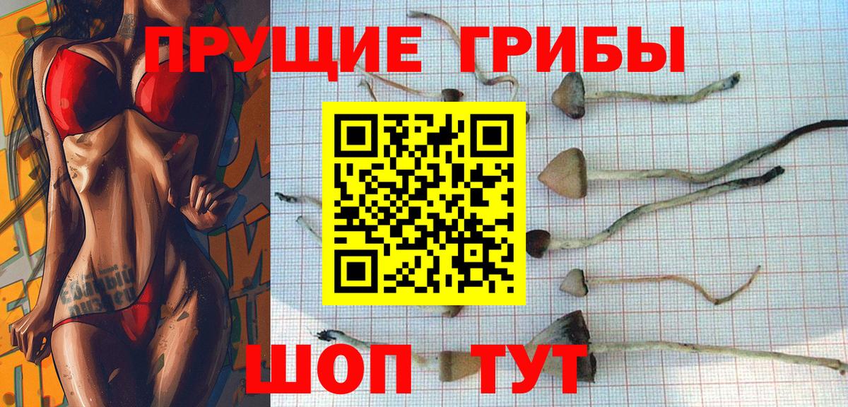 Псилоцибиновые грибы Magic Shrooms Янаул
