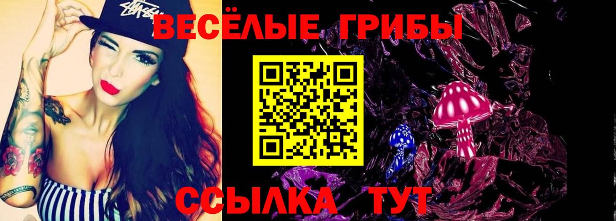 Янаул  даркнет сайт  Псилоцибиновые грибы мицелий  Вход с VPN  Псилоцибиновые грибы Magic Shrooms 